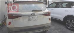 کیا سێلتۆس